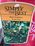 Aronie noire ‘Black Chokeberry’