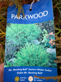 Mr. Bowling Ball Eastern Globe Cedar