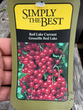 Groseille red lake “Red Lake Currant”