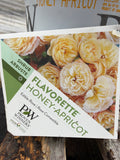 “Flavorette Honey-Apricot” - Shrub Rose