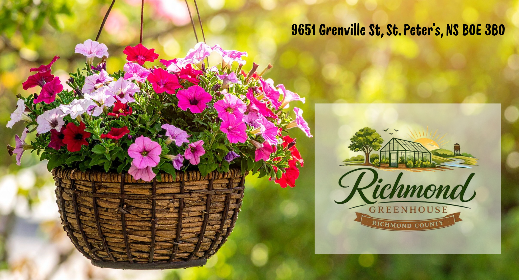 Hanging basket of flowers with Richmond Greenhouse logo and address information.