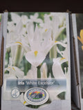 Iris White Excelsior