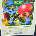 Apple - Freedom