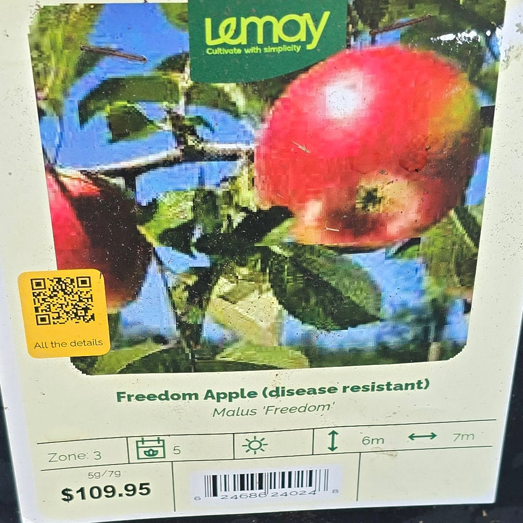 Apple - Freedom