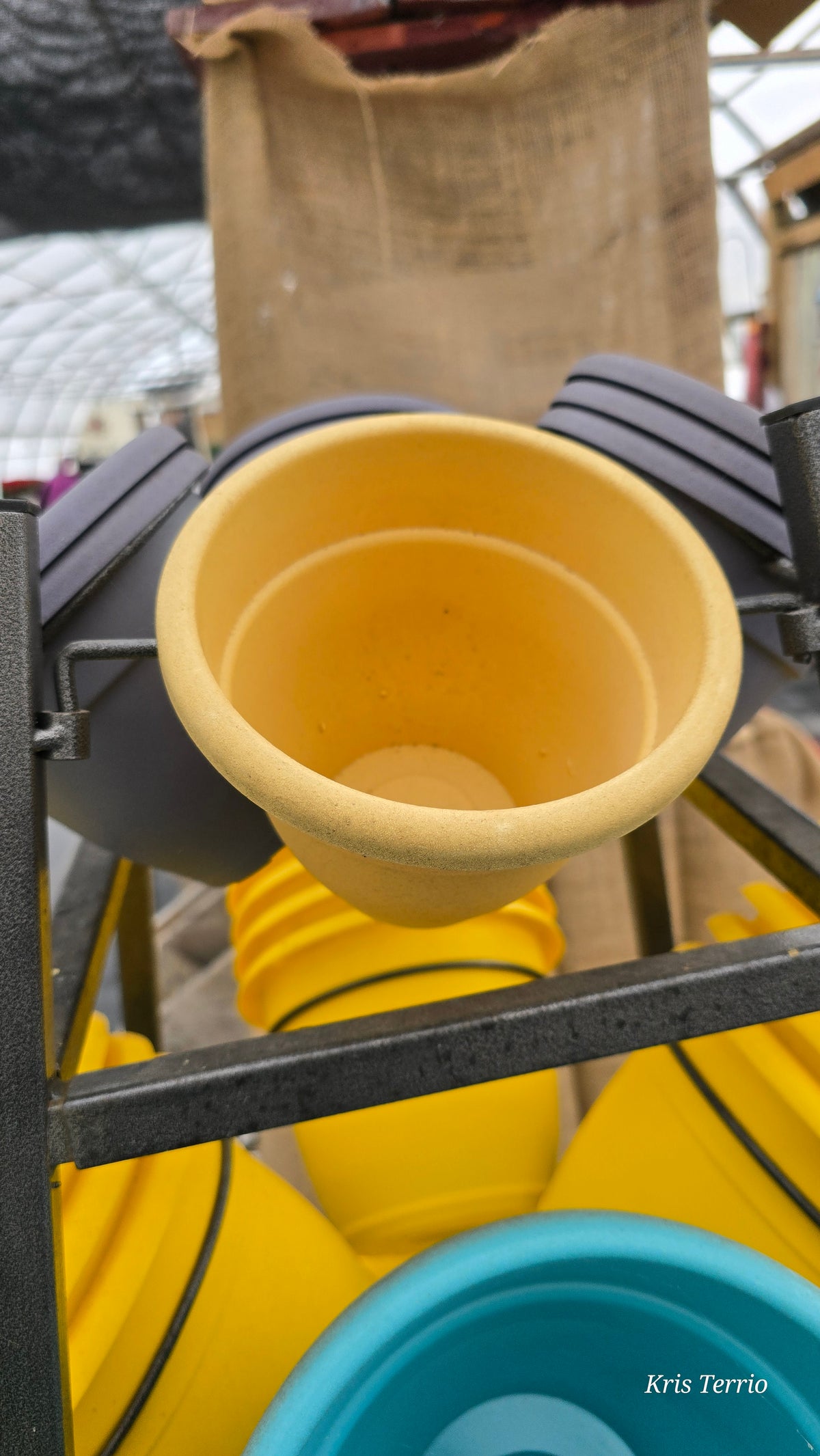 Yellow Plastic Pot 5"