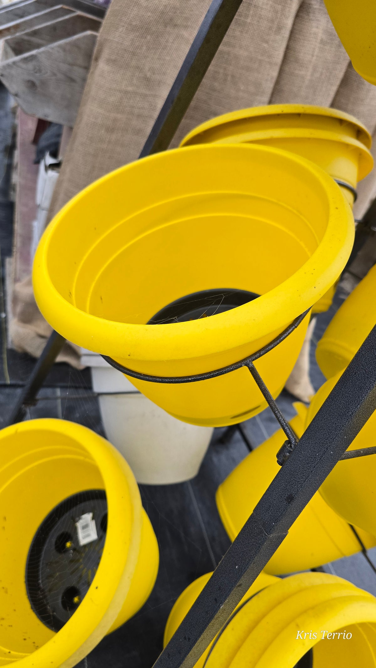 Yellow Plastic Pot 9"