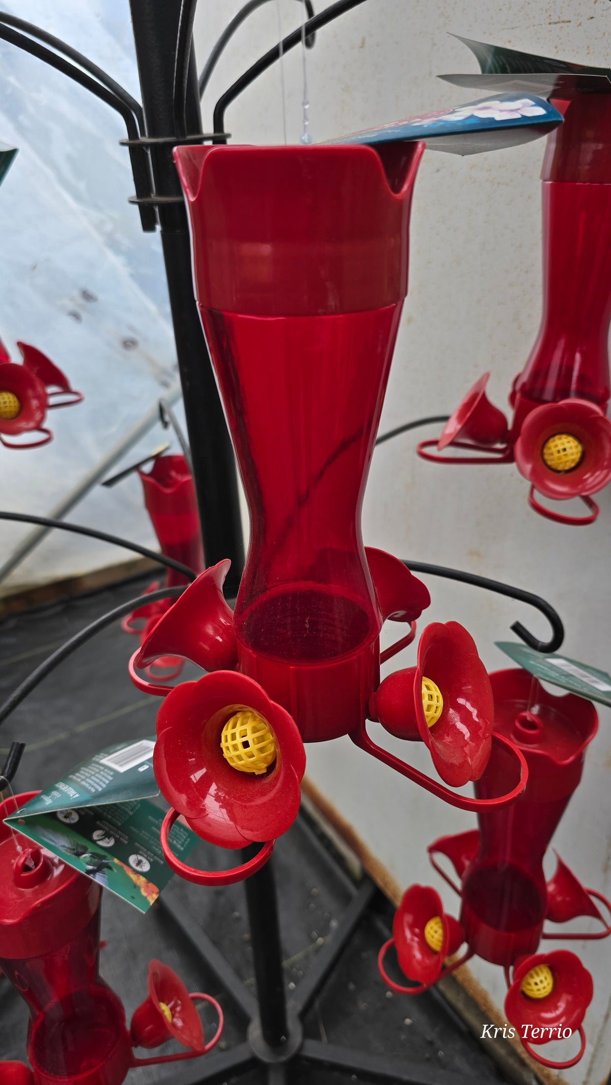 Perky-Pet HUMMINGBIRD FEEDER Hanging