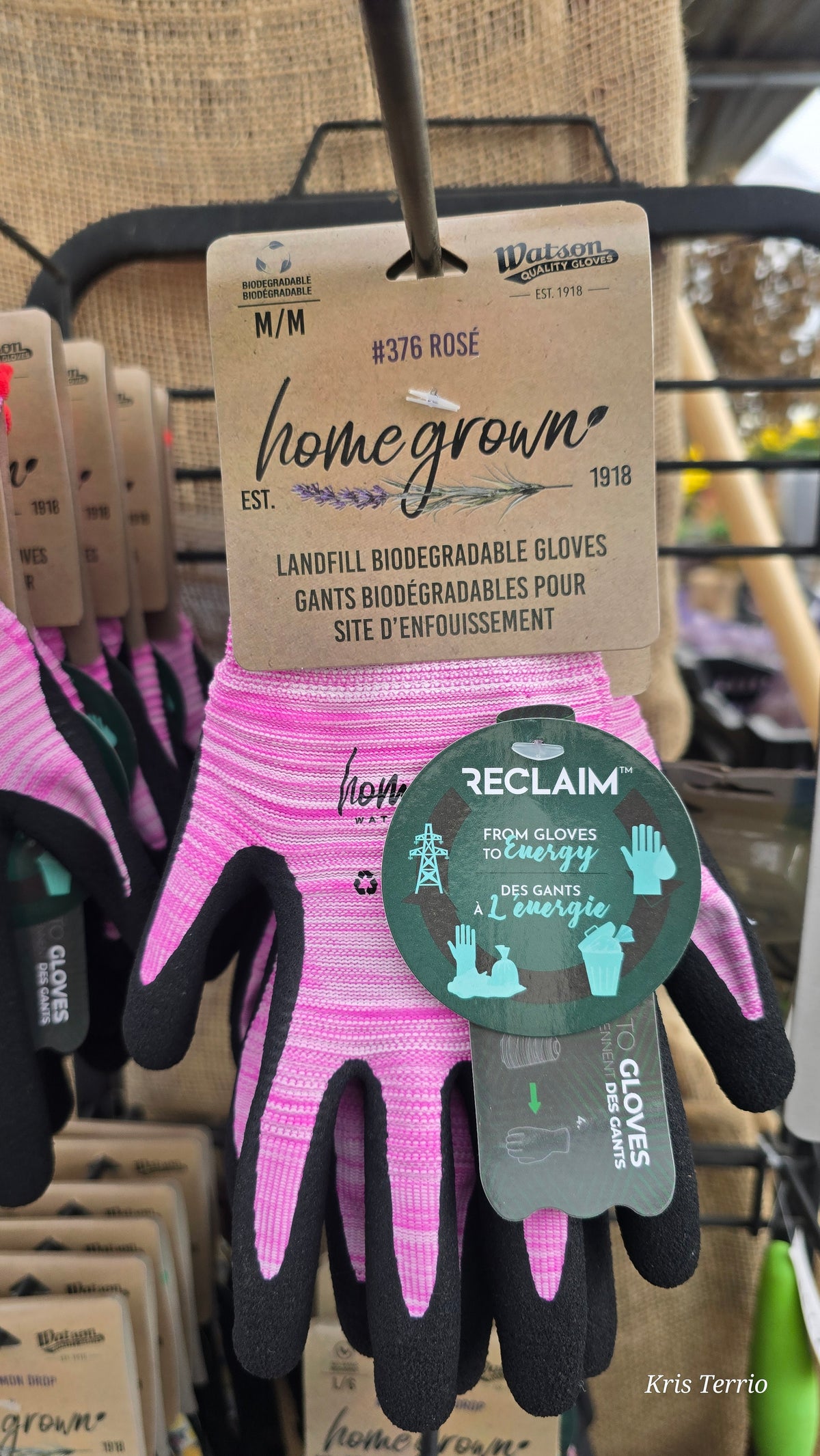 Homegrown Landfill  Biodegradable Gloves