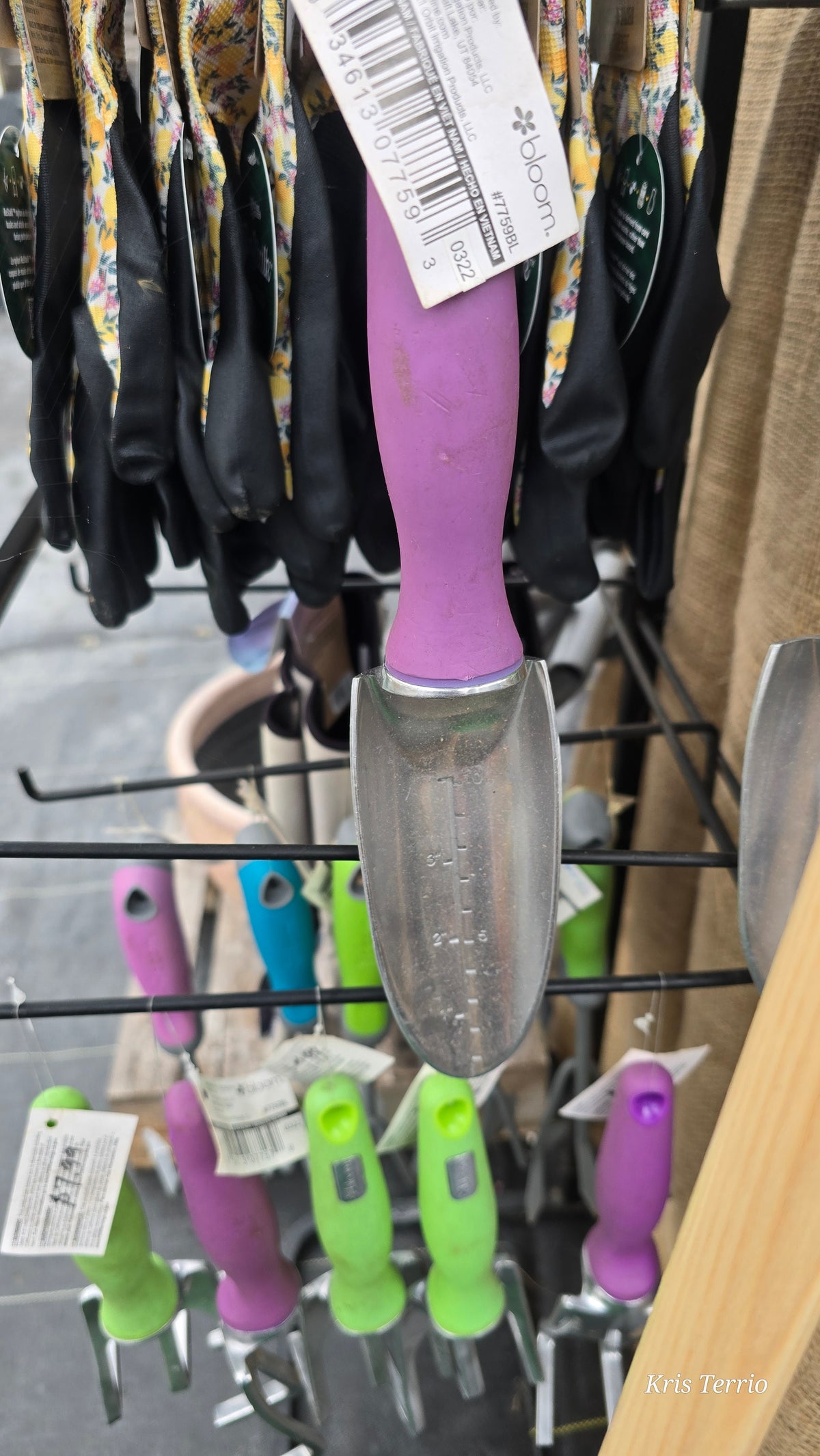 Bloom ALUMINUM TRANSPLANTER