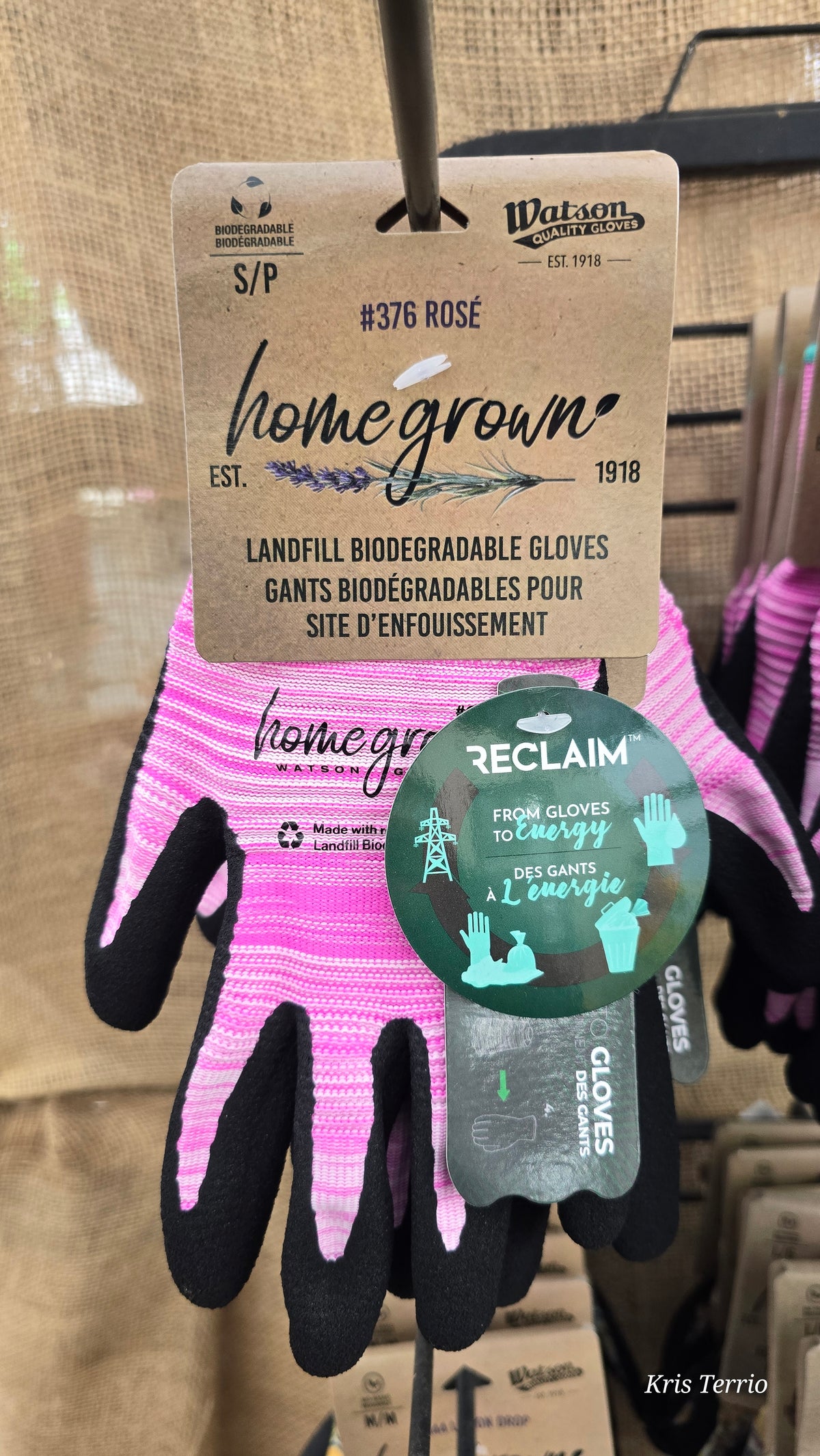 Homegrown Landfill Biodegradable Gloves