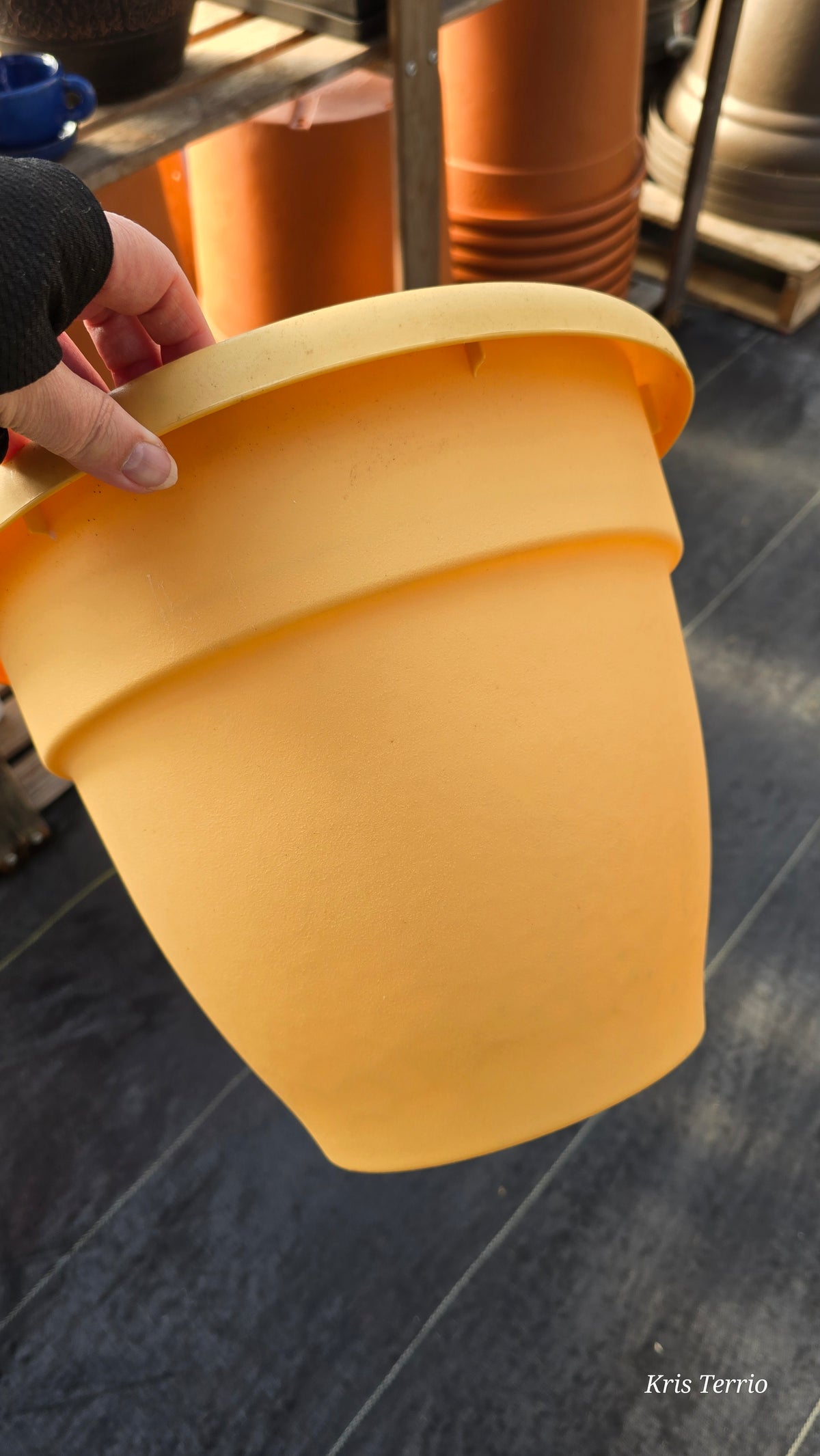 Planter CARIBBEAN HONEY 12"