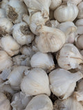 Music - Garlic Single