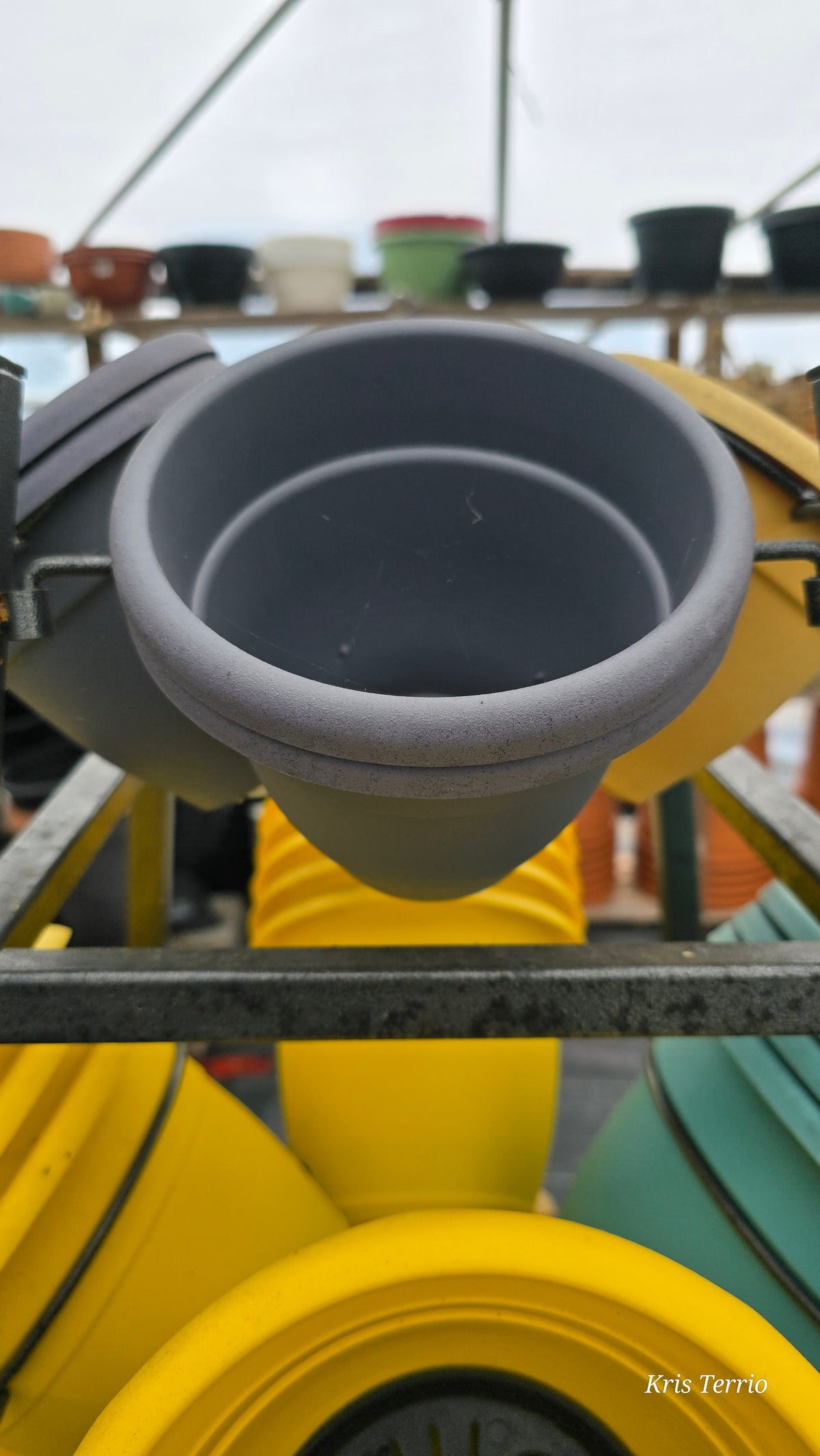 Gray Plastic Pot 5"
