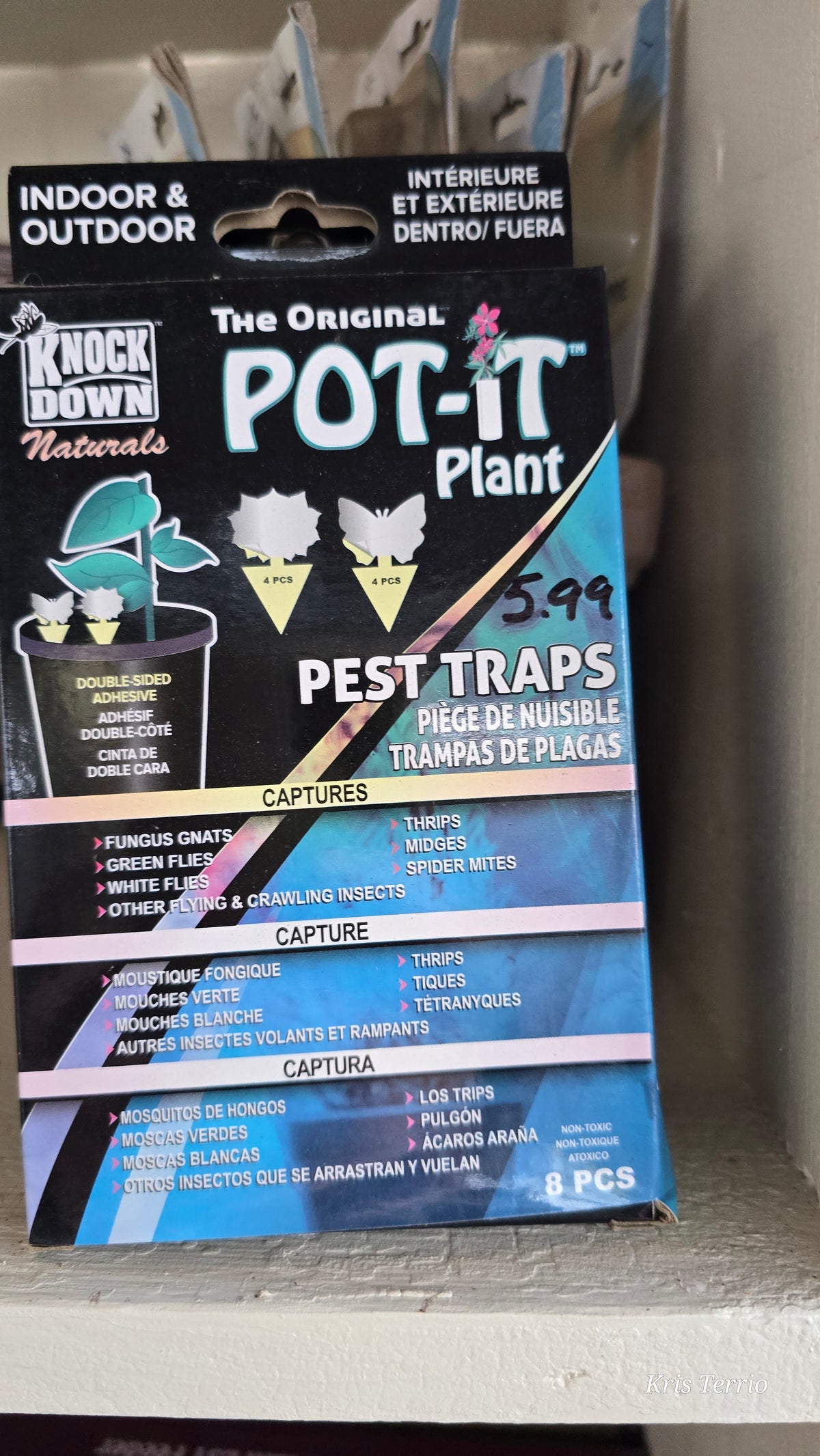 Knock Down Pot-It Plant PEST TRAPS