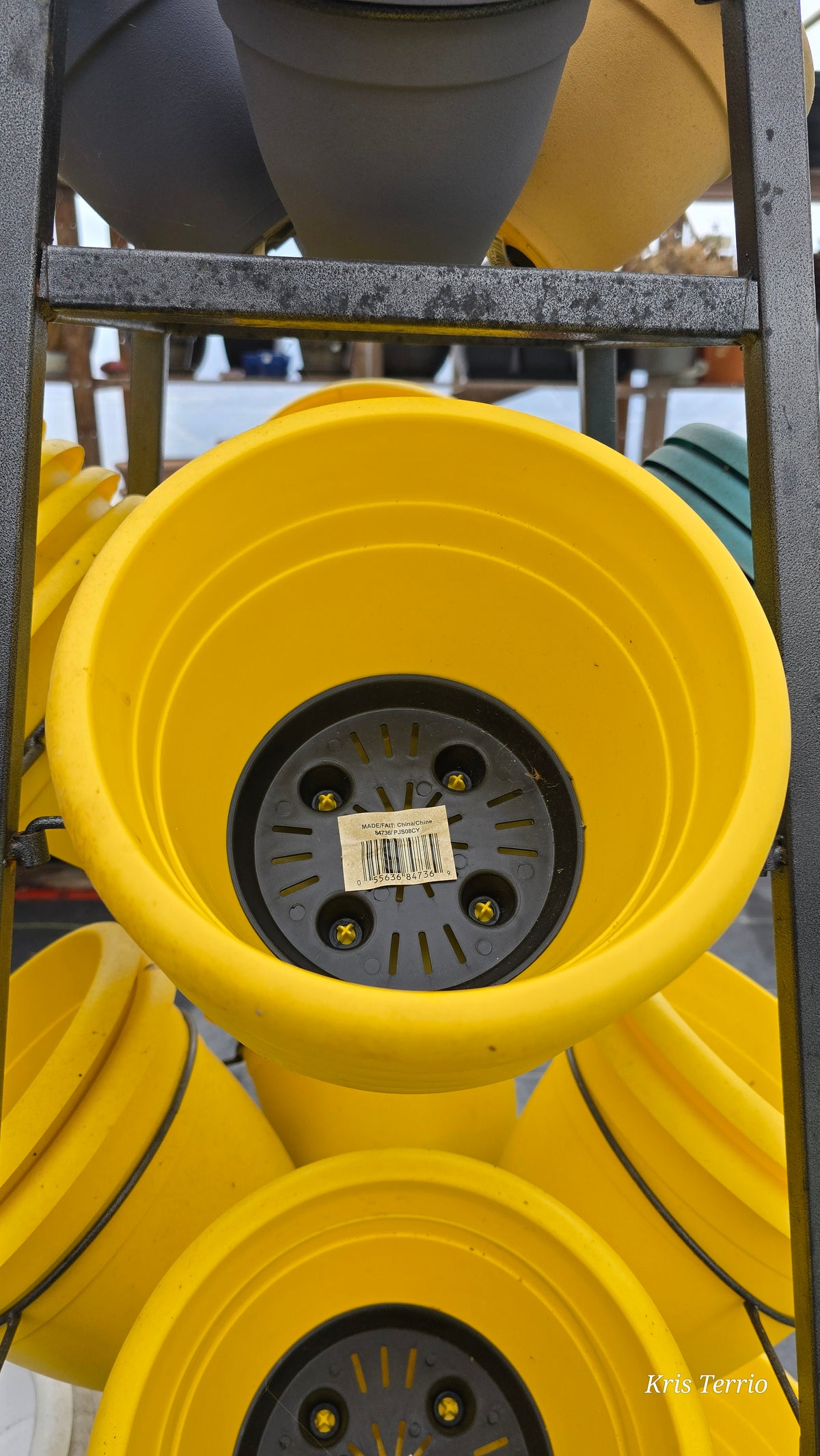 Yellow Plastic Pot 7"
