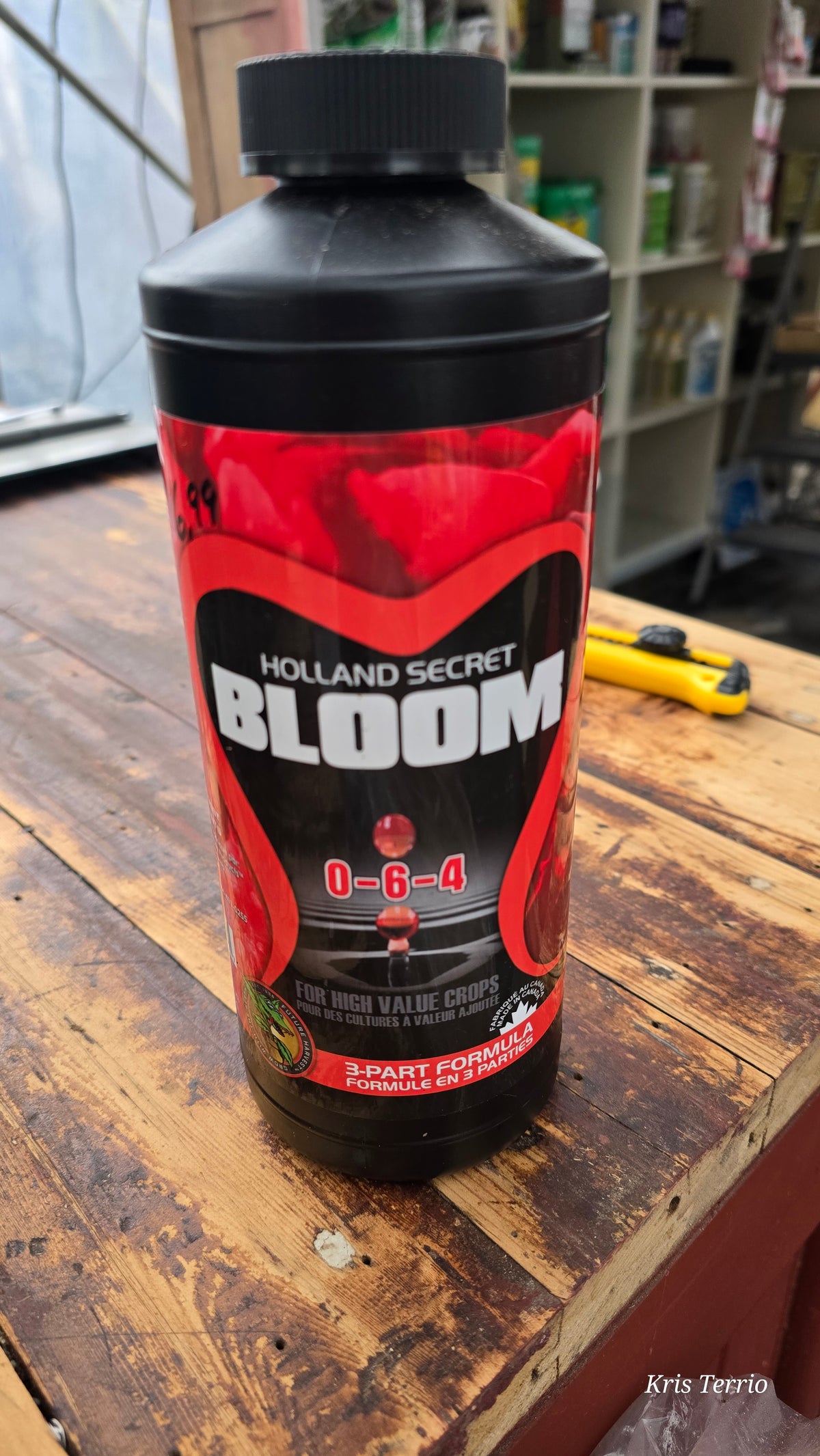 Holland Secret BLOOM 0-6-4