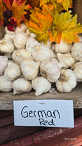German Red - Garlic