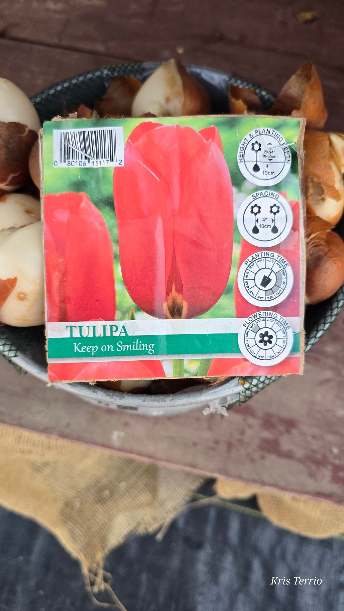 Tulipa KEEP ON SMILING BULB