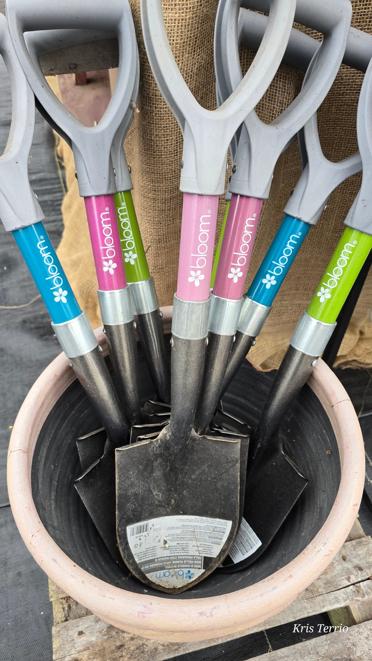 Bloom MINI D HANDLE SHOVEL