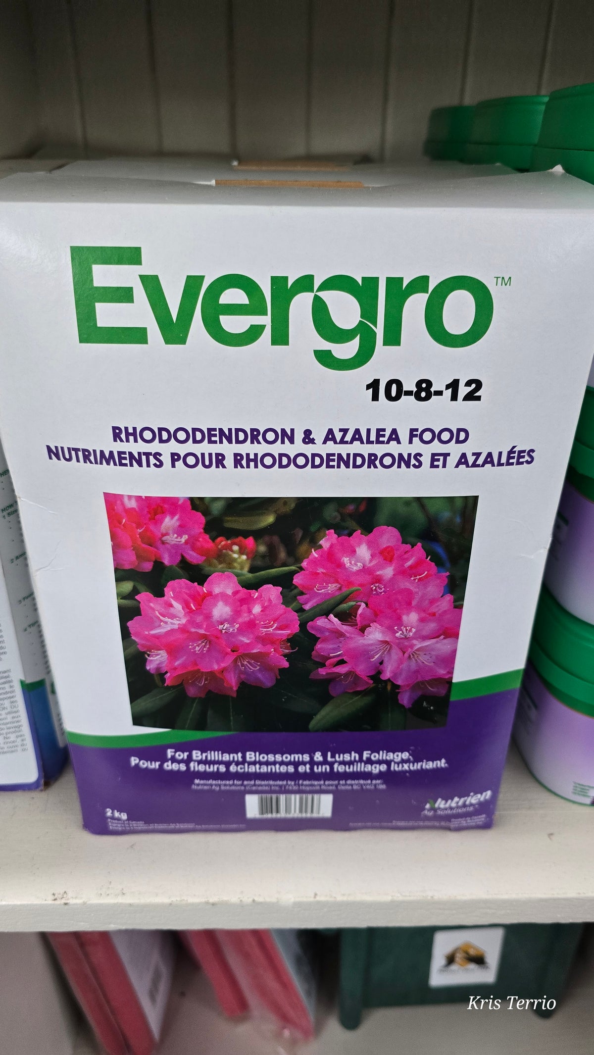 Evergro RHODODENDRON & AZALEA Food 10-8-12 2kg
