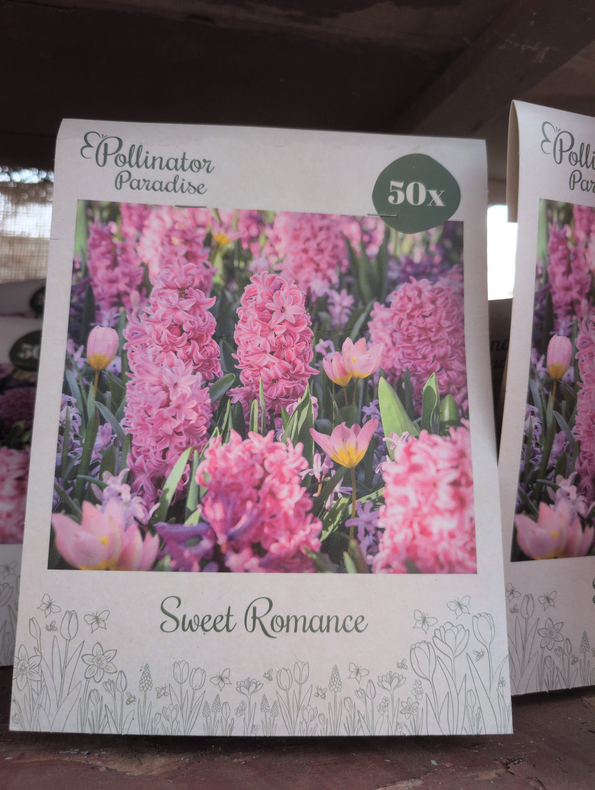 Sweet Romance