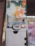 Narcissus Extravaganza
