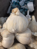 Mennonite - Garlic Single
