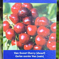 Cherry (Dwarf) - Van Sweet